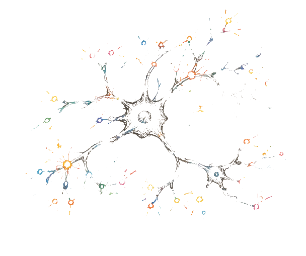 synapses